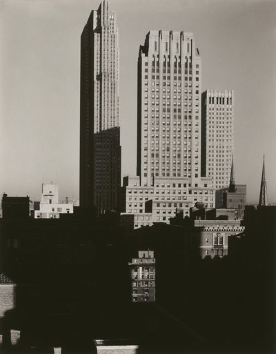 Nowy Jork widziany z Shelton autorstwa Alfred Stieglitz