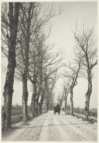 Listopadowe Dni autorstwa Alfred Stieglitz