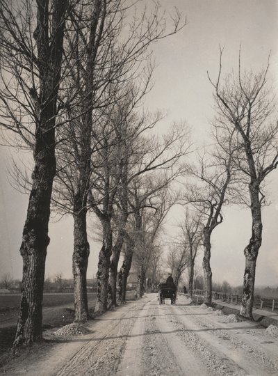 Listopadowe dni autorstwa Alfred Stieglitz