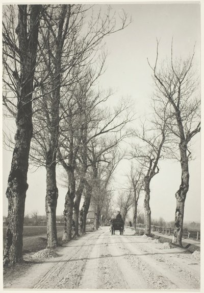 Dni Listopadowe, 1887, druk 192039. autorstwa Alfred Stieglitz