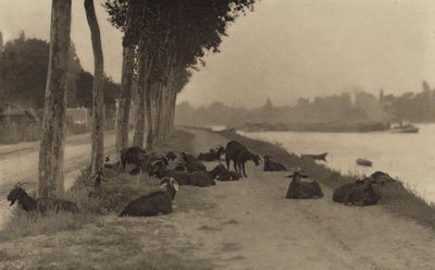Nad Sekwaną — w pobliżu Paryża autorstwa Alfred Stieglitz
