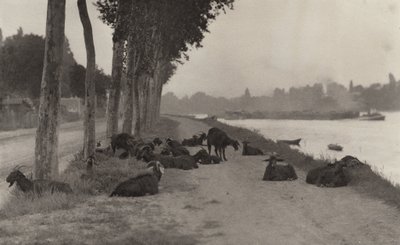  autorstwa Alfred Stieglitz