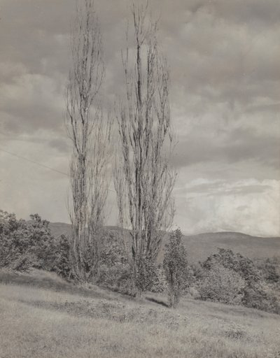  autorstwa Alfred Stieglitz