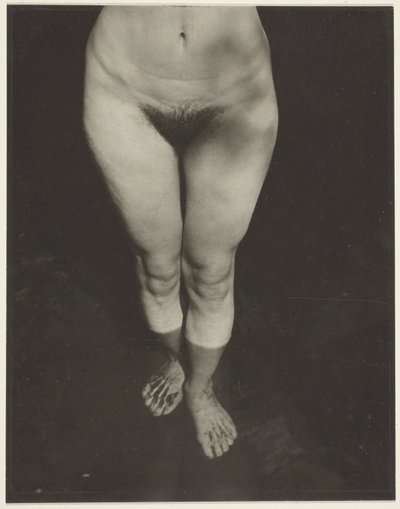 Rebecca Salsbury Strand autorstwa Alfred Stieglitz