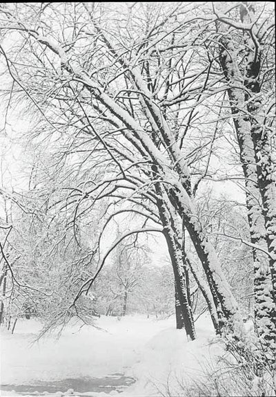 Pejzaż śnieżny, Berlin, 188892. autorstwa Alfred Stieglitz