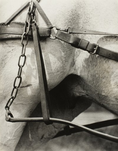 Duchowa Ameryka: Pieśni Nieba A1 autorstwa Alfred Stieglitz