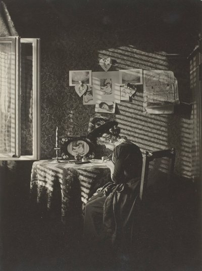 Promienie słońca - Paula, Berlin, 1889, druk 192039. autorstwa Alfred Stieglitz