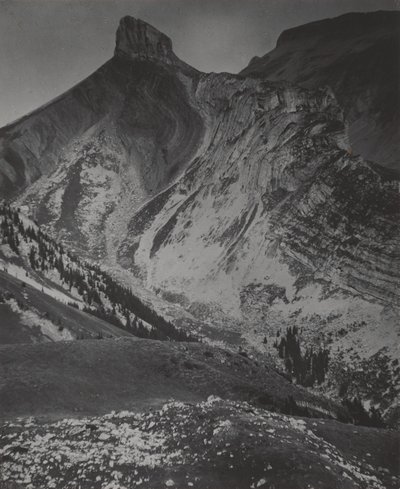  autorstwa Alfred Stieglitz