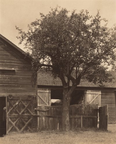  autorstwa Alfred Stieglitz
