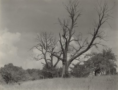  autorstwa Alfred Stieglitz