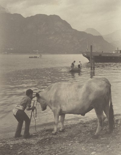 Niechciana kąpiel autorstwa Alfred Stieglitz