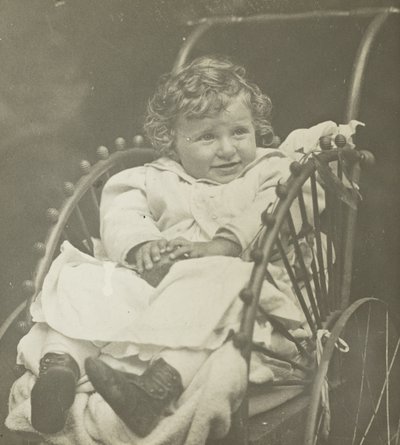 Bez tytułu (Howard Schubart w przewozie) autorstwa Alfred Stieglitz