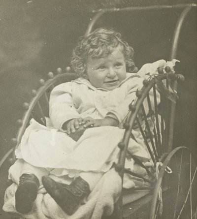 Bez tytułu Howard Schubart in Carriage, 1893. autorstwa Alfred Stieglitz