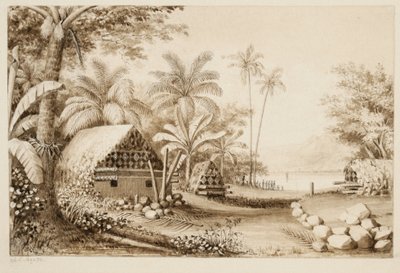Grobowce na wyspie Muthuata, Fidżi (wc na papierze) autorstwa Alfred Thomas Agate