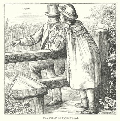 Hans Christian Andersen: Gryka (litografia) autorstwa Alfred Walter (after) Bayes