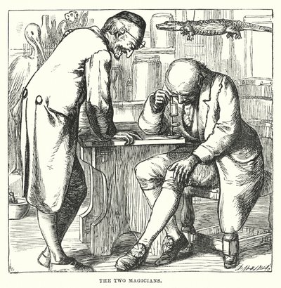 Hans Christian Andersen: Kropla wody (litografia) autorstwa Alfred Walter (after) Bayes