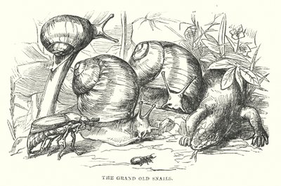 Hans Christian Andersen: Szczęśliwa rodzina (litografia) autorstwa Alfred Walter (after) Bayes