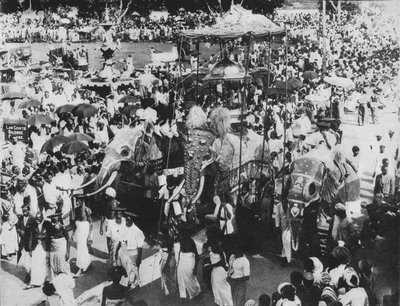 Święty słoń w procesji Perahera, Kandy, Cejlon, c1890, 1910 autorstwa Alfred William Amandus Plate