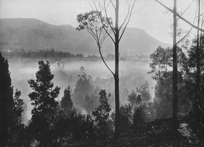 Wczesny poranek wstaje mgła w Nuwara Eliya, c1890, 1910 autorstwa Alfred William Amandus Plate