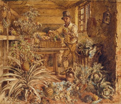 Ogrodnik w szopie z ananasami i różnymi warzywami (pióro, atrament i toaleta na papierze) autorstwa Alfred William Hunt