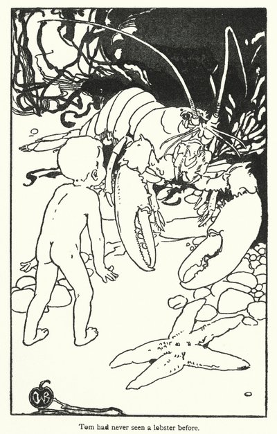 Ilustracja do książki The Water-Babies autorstwa Charlesa Kingsleya (litografia) autorstwa Alice Bolingbroke (after) Woodward