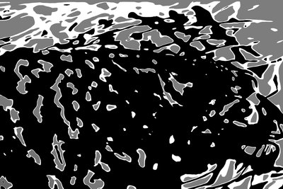 Merlin im Profil von Alice Gur-Arie