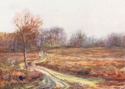 New Forest: Cart Track over the Moor, koniec listopada (kolorowa litografia) autorstwa Alice Julia Argles