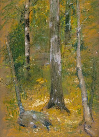 Onteora autorstwa Alice Pike Barney