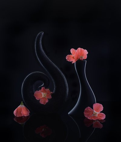  autorstwa Alice Sheng