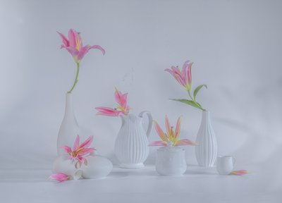  autorstwa Alice Sheng