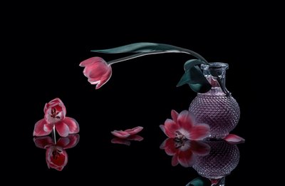  autorstwa Alice Sheng