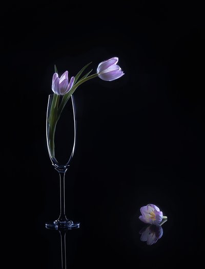  autorstwa Alice Sheng