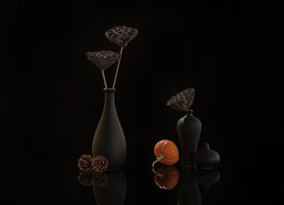  autorstwa Alice Sheng