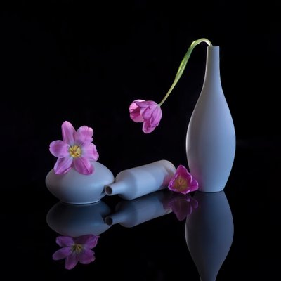  autorstwa Alice Sheng