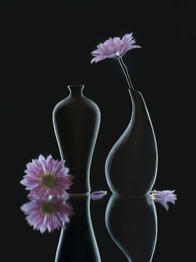  autorstwa Alice Sheng