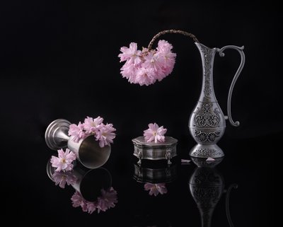  autorstwa Alice Sheng