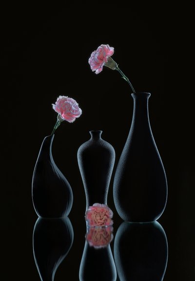  autorstwa Alice Sheng