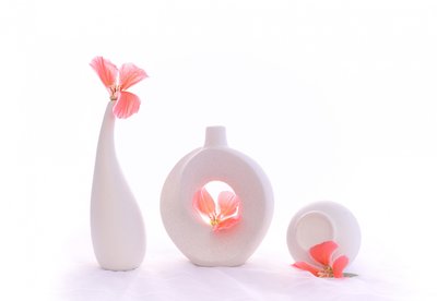  autorstwa Alice Sheng