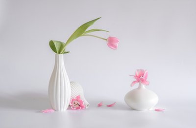  autorstwa Alice Sheng
