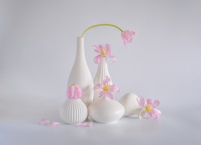  autorstwa Alice Sheng