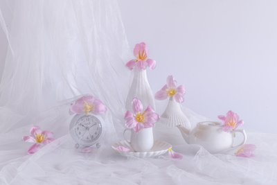  autorstwa Alice Sheng