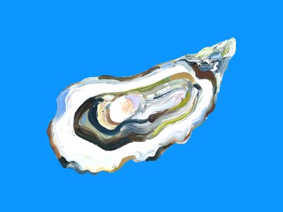 „Blue Oyster” – streszczenie autorstwa Alice Straker