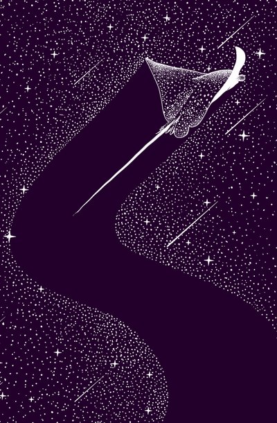 Niebiański orzeł morski autorstwa Alirıza ÇAKIR