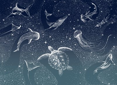 Życie morskie w kosmosie autorstwa Alirıza ÇAKIR