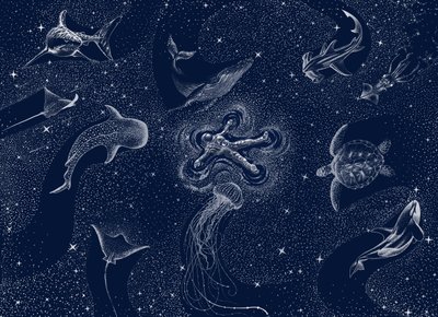 Kosmiczny sen o oceanie autorstwa Alirıza ÇAKIR