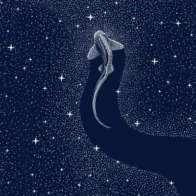 Kosmiczny rekin autorstwa Alirıza ÇAKIR