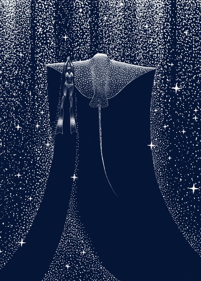 Przewodnik po Starlit Ray autorstwa Alirıza ÇAKIR