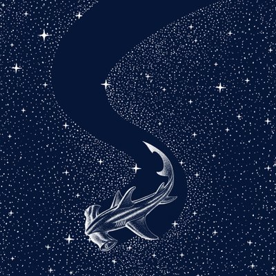 Rekin młotowaty gwiaździsty autorstwa Alirıza ÇAKIR