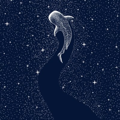 Gwiaździsty rekin wielorybi autorstwa Alirıza ÇAKIR