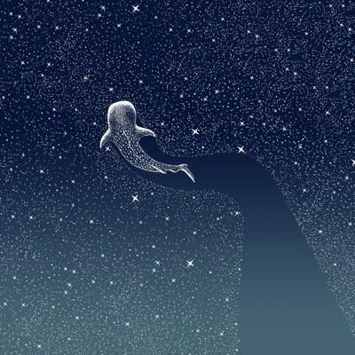 Galaktyka Rekina Wielorybiego autorstwa Alirıza ÇAKIR